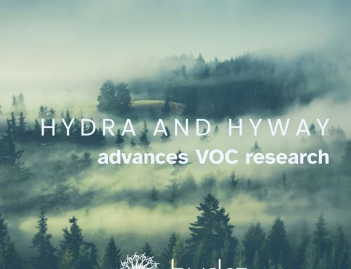 HYDRA and HYWAY collaboration advances VOC research